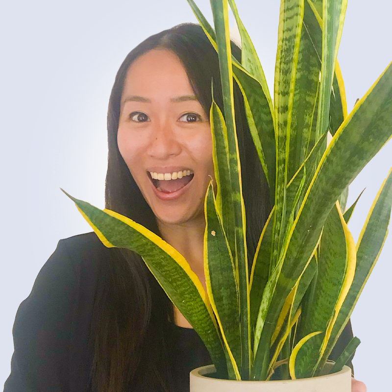 Joyce Wong